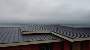 Best Solar Panel Roofing Installation  in South Point, OH